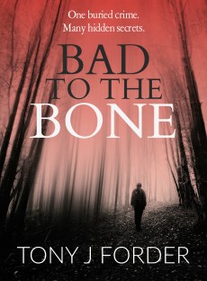 Bad to the Bone cover